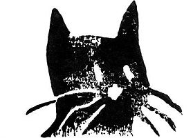 LOGO UN CHAT LA NUIT EDITIONS